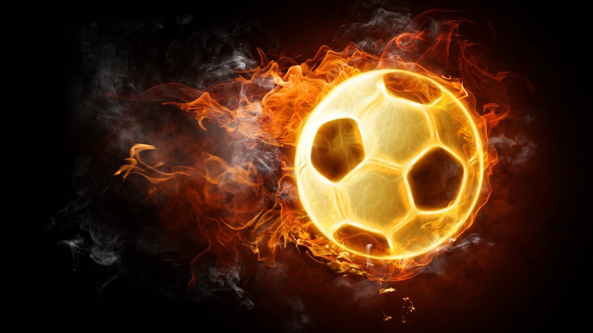 专家点评：专业视角，解读比赛，竞赛专家点评深入精彩纷呈