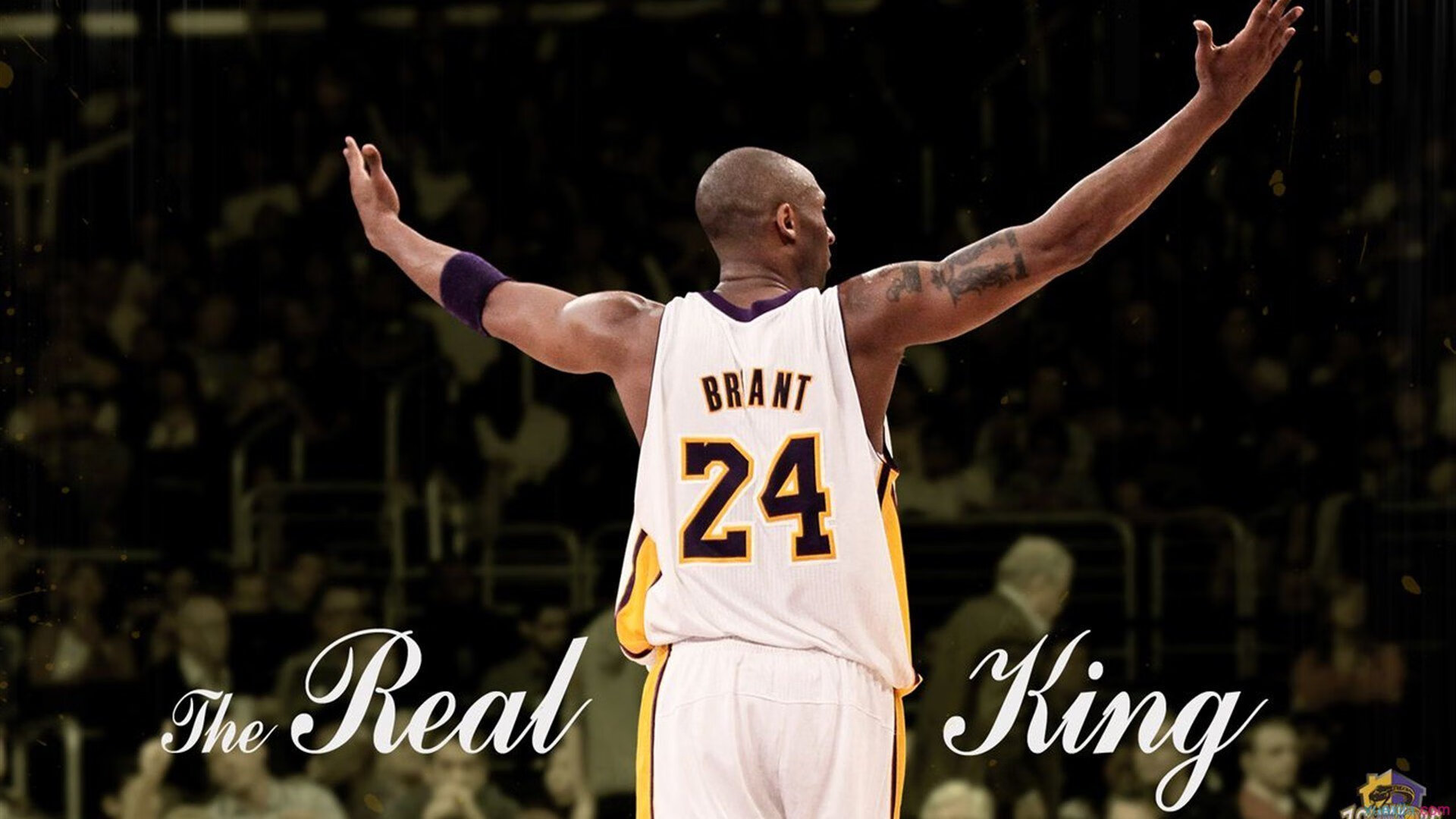 特色篮球文化走入中小学课堂，助力校园体育教育提升，篮球特色学校实施方案